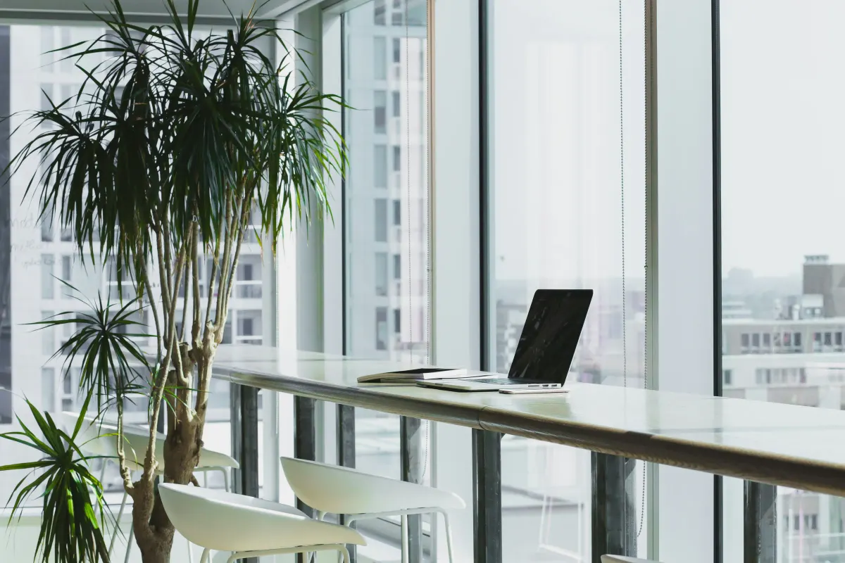 Bright workspace with plants and a laptop